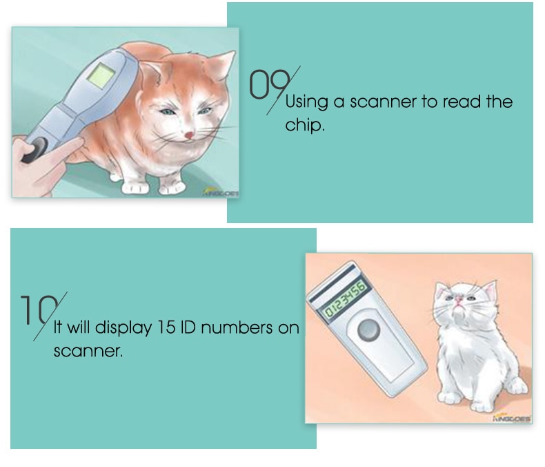 cat injector