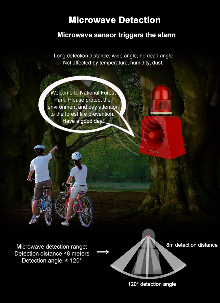 alarm light (2)