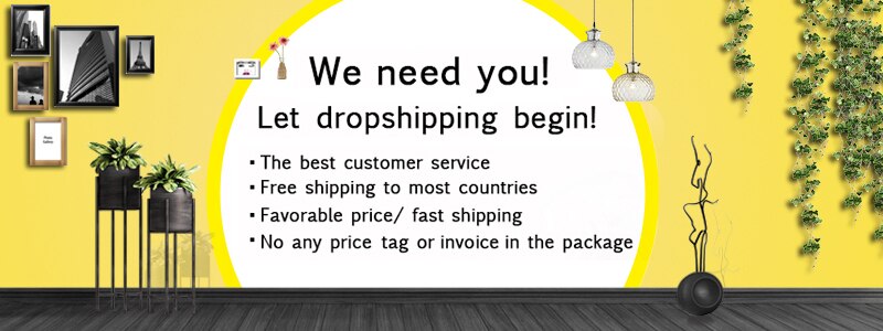 dropshipping