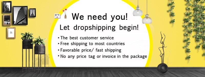 dropshipping