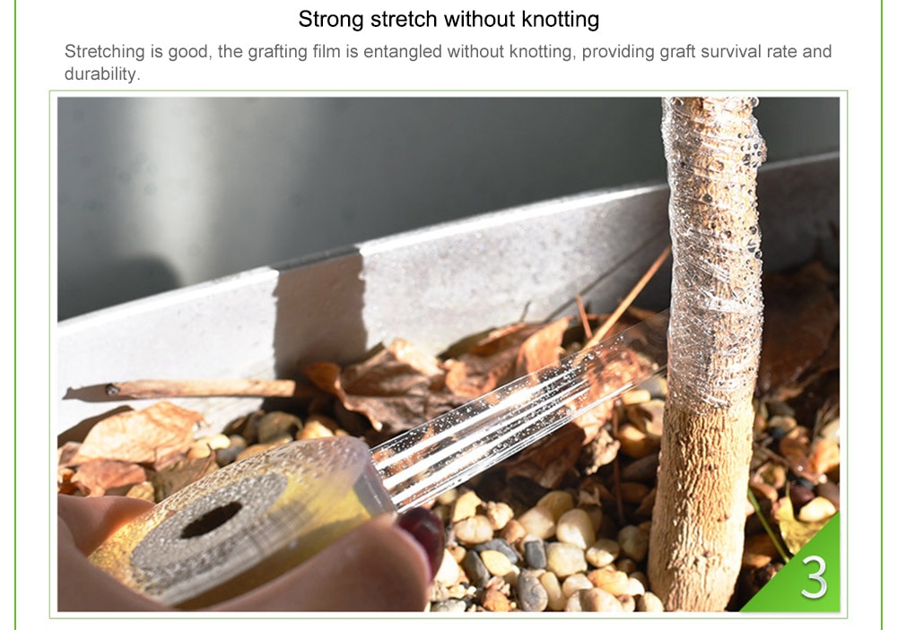 Fruit Tree Grafting Tape 06